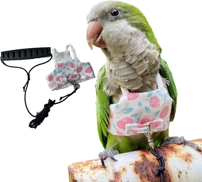 Bird Flight Harness Vest, Parrot Flight Suit with Leash for Parakeets Cockatiels, Bird Flying Clothes with Rope and Handle for Outdoor Activities Training (Pink with Leash,Medium)