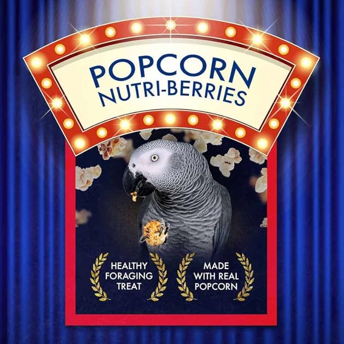 LAFEBER'S Popcorn Nutri-Berries, for Parrots, 4 oz Bag (Pack of 2)