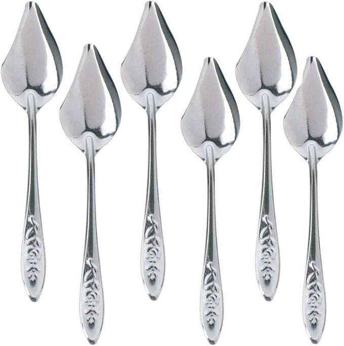 6 Pcs Stainless Steel Bird Feeding Spoon - Narrow Tip for Baby Birds Young Pet Birds, Parrot Milk Spoon Fit Finch Canary Cockatiel Hand Feeding,Spoons for Feeding Nestlings/Hatchlings