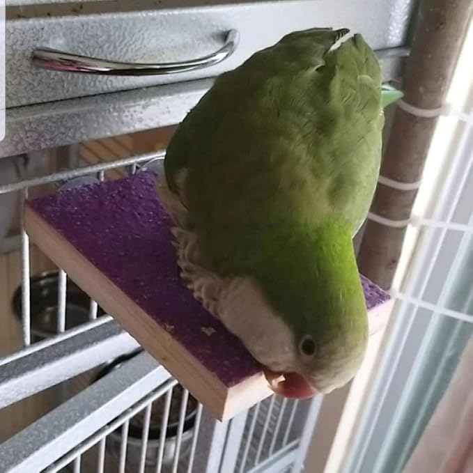 Bird Cage Accessories, Parrot Perch Stand Platform Natural Wood Grinding for Budgie Parakeet Cockatiels Conure Lovebirds, Purple