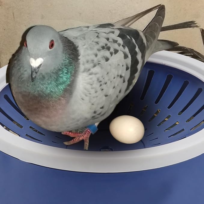 UKCOCO Pigeon Nest Egg Basin Plastic Bird Nesting Bowl 3.68 Inch Lightweight Bird Breeding Nest for Pigeons and Small Birds Easy to Clean Durable Birdcage Accessory