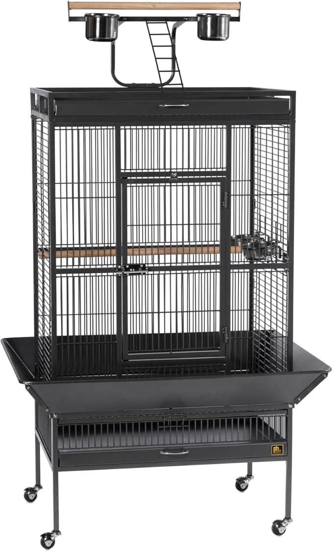 Prevue Hendryx Signature Select Series Wrought Iron Bird Cage in Black