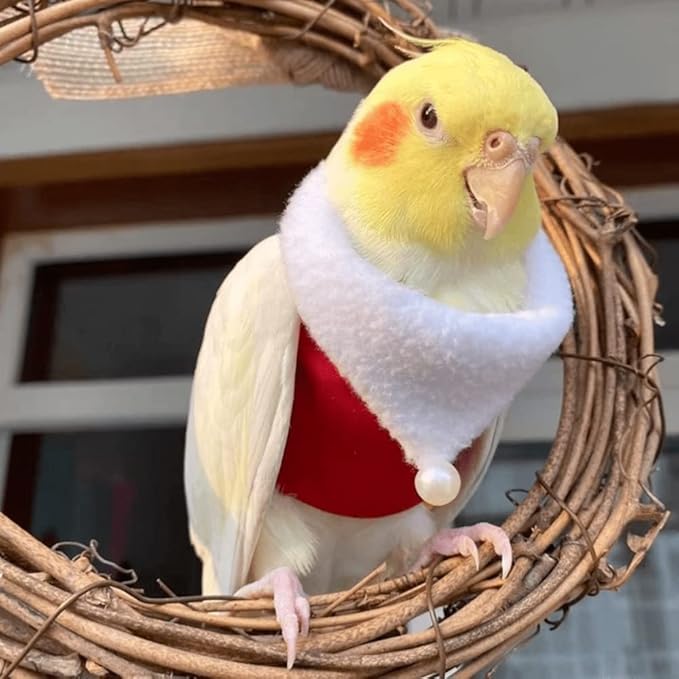Bird Clothes Birds Flight Suit, Christmas Hoodie for Parrots Cockatiel Sun Conure Christmas Party Cosplay Photo Prop Bird Shirt Small Animals Apparel (A,Lovebird)