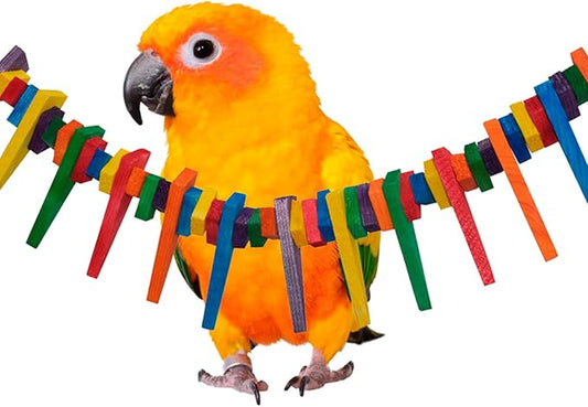 Super Bird Creations SB466 Mini Triangle Teaser Toy for Parrots, Ringnecks, Conures, Quakers, Caiques - Enrichment & Boredom Relief for Parrots - Safe and Durable - Medium Bird Size - 16" x 3" x 2"