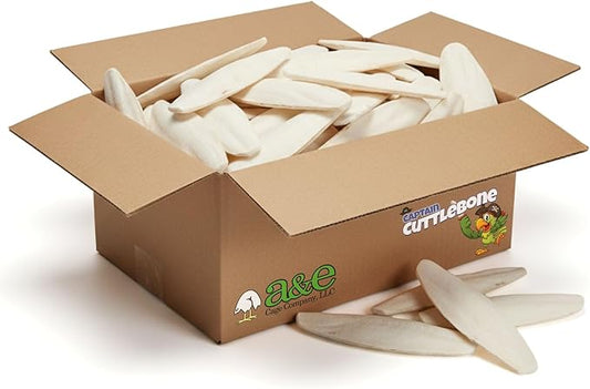 A&E Cage Company Captain Cuttlebone AE9012 Natural Bird Cuttlebone – 5lb Bulk Box of 6–8" Cuttlebone Pieces – Calcium Supplement for Parakeets, Budgies, Finches, Canaries, Lovebirds & Small Birds