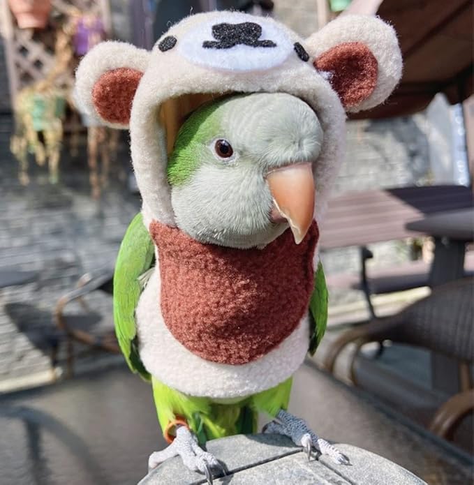Bird Costume Bird Diaper Flight Suit Bird Bear Shape Bird Clothes Cosplay Photo Prop for Parrots Lovebird Parakeet Cockatiel Small Animals Apparel (with Diaper,Cockatiel)