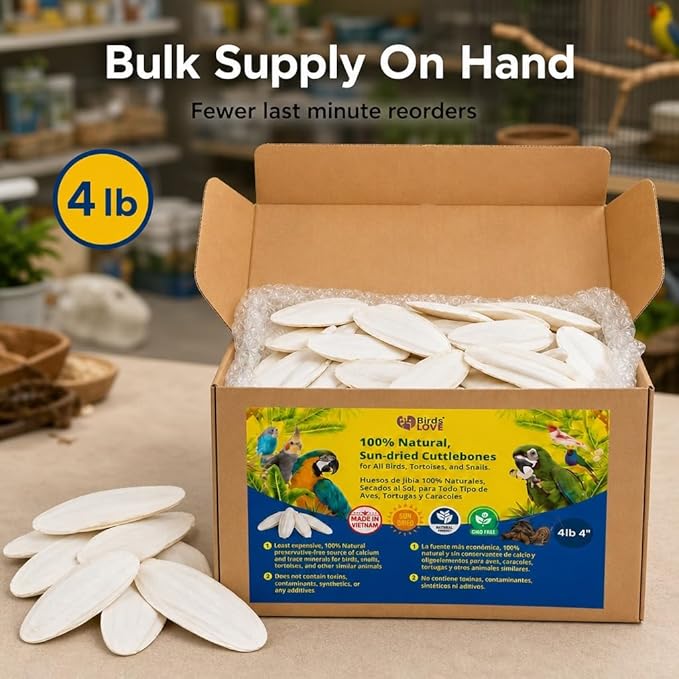 Birds LOVE 3.5-4″ Cuttlebones for Birds – 100% Natural Sun-Dried Calcium Carbonate Mineral Supplement – for Parakeets, Budgies, Cockatiels, Finches & Canaries – 4 lb with Holder – Made in Vietnam
