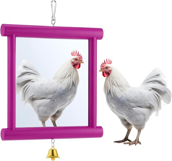 Sadnyy Extra Large Chicken Mirror Toys Hanging Swing Double Side Mirror with Bell Wooden Pecking Toy for Hens Birds Parrots Coop Roosters Enrichment Toy for Poultry(Square, Rose Red, 1pcs)