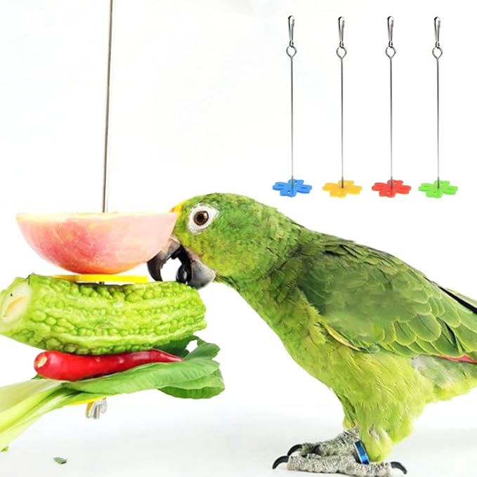 Bird Food Holder Stainless Steel Parrot Vegetable Fruit Feeder Treat Skewer for Cockatiel Metal Hanging Hook, Small