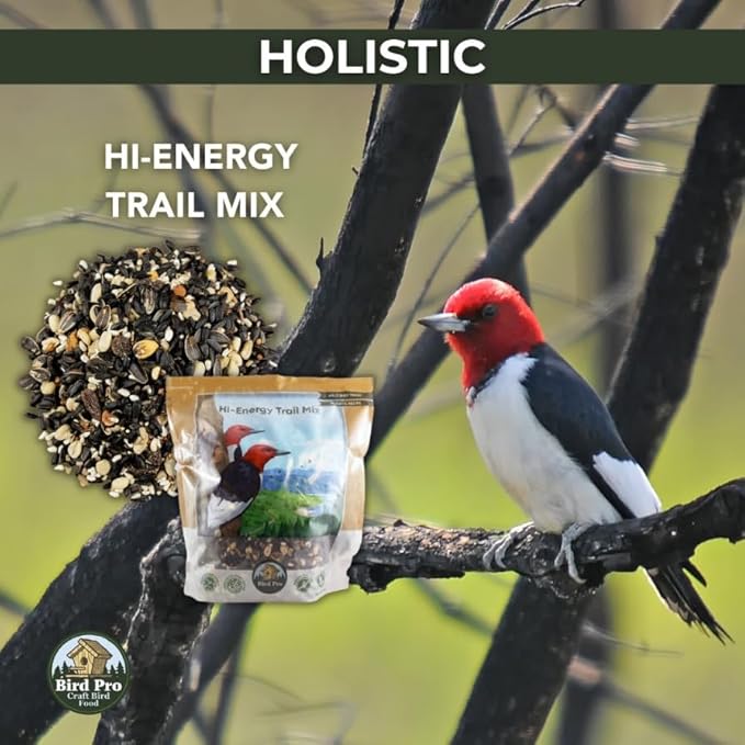 Bird Pro Holistic Bird Seed - Premium Seed for Backyard Feeding (18 Pounds, Hi-Energy Trail Mix)