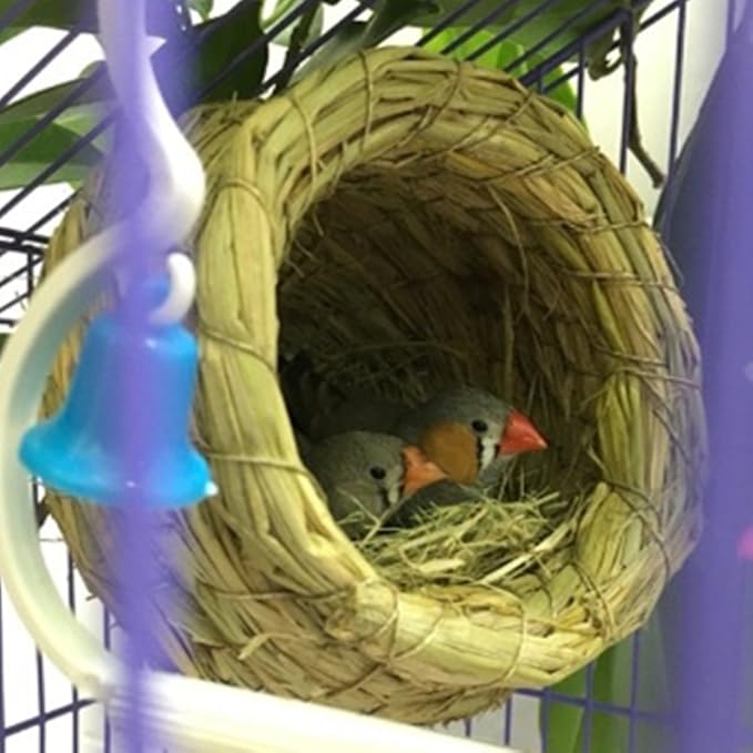 YJJKJ Pet Products Bird Nest Handwoven Straw House for Parakeets Cockatiels Parrot Budgie Or Small Pet (L, Orange)