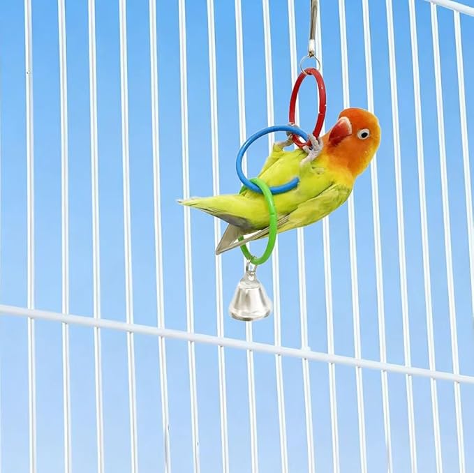 2 Pack Hanging Swing Parrot Toys,Bird Parrot Swing Toys,Bird Toys for Conures,Budgerigar, Parakeet, Cockatiel, Mynah, Love Birds, Finches and Other Small to Medium Birds