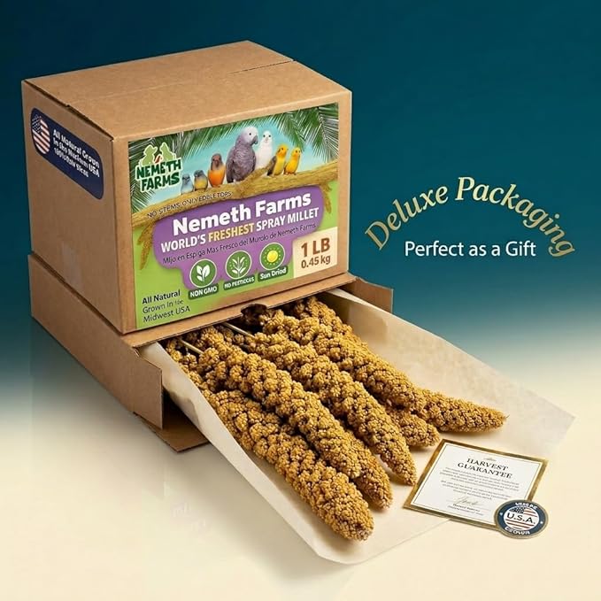 Nemeth Farms Spray Millet - Edible Tops Only, Non-GMO and Sun-Dried - 2 lbs for Cockatiels, Lovebirds and Budgies