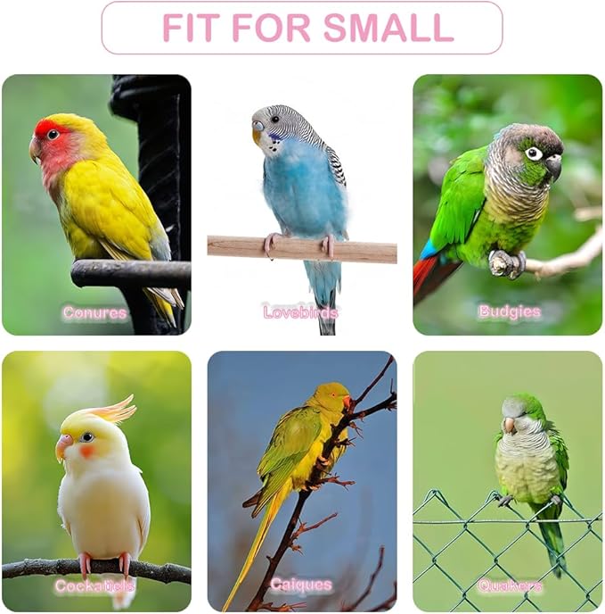 2 Pack Bird Feeding Dish Cup Water Bowl Cage Feeder Accessories for Canary Finch Parakeet Budgie Cockatiel Lovebird
