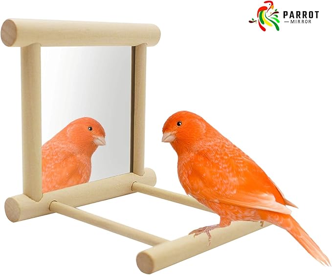 Blessed Family 2 Piece Bird Parakeet Mirror for Cage,Parrot Perch Stand,Wooden Hummingbird Swing Toy,Parakeet Accessories for Cockatiels Conure Finch Lovebird Canary African Grey Macaw