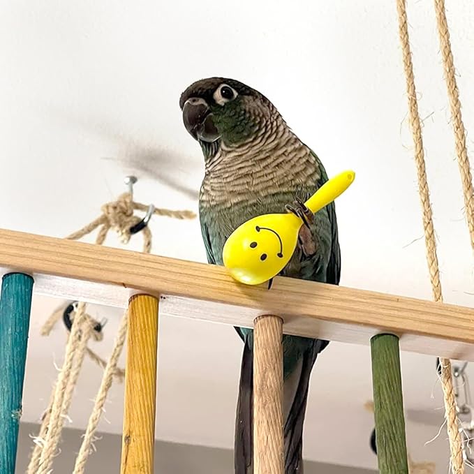 DQITJ 9 Pcs Colourful Mini Ball Sand Hammer Parrot Rattle Shaker Musical Sound Toy Intelligent Sand Hammer Foot Toy for Bird Parrot Cockatiel Conure Lovebird Parakeet Canary (Colors May Vary)