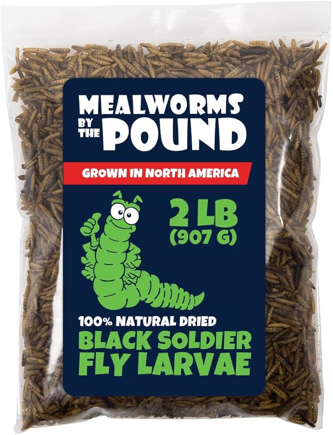 North American Grown Dried Black Soldier Fly Larvae (2 lbs) - More Calcium Than Mealworms - Treats for Chickens, Wild Birds, & Reptiles