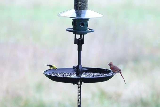 Seed Buster Seed Catcher Tray - REQUIRES a BirdsUP Single Pole