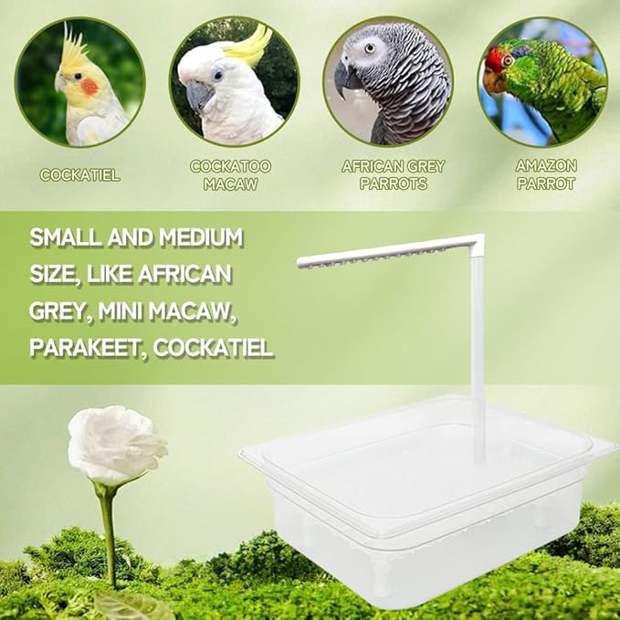 Parrot Bathtub Indoor Automatic Bath Shower with 180 ° Circulating Faucet Contains USB and Power Plug for Medium Birds African Grey Amazon Conure Parakeet Cockatiel Lovebird
