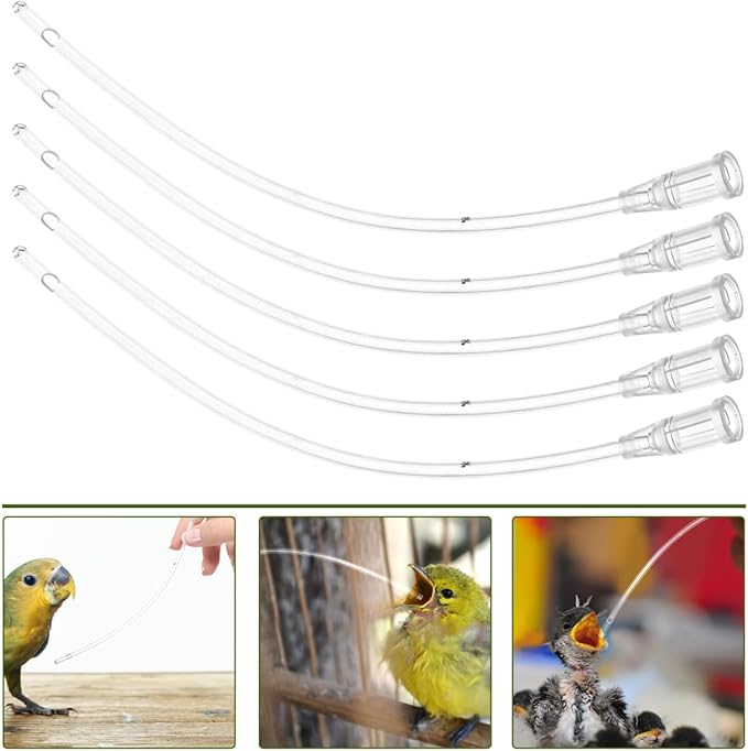 POPETPOP Young Bird Feeding Tool Transparent Plastic Parrot Feeder Lightweight Liquid Dispenser for Newborn Birds Easy Clean Bird Feeding Supply