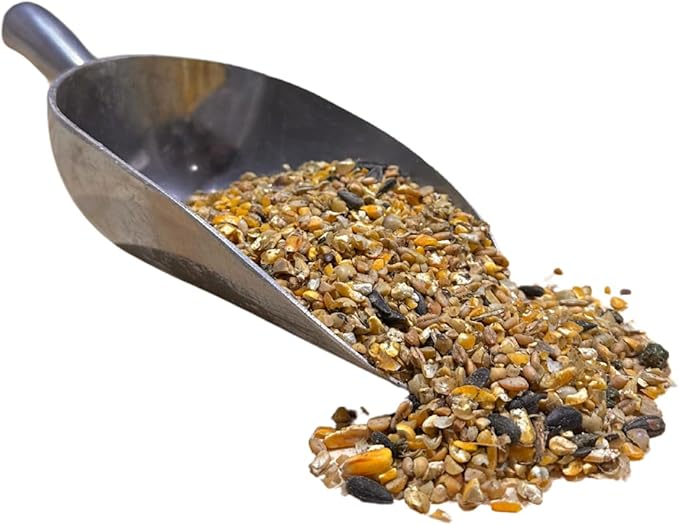 All Flock Feed, High Nutrition for Flocks, Non-GMO Duck, Turkey, Geese and Chicken, Whole Grain 10 lbs Pack