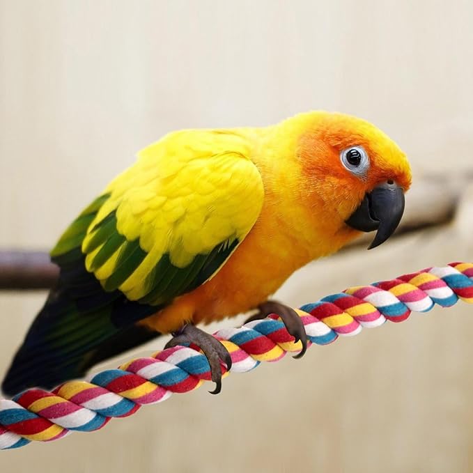 Bird Rope Perches,Parrot Toys 48 inches Rope Bungee Bird Toy (48 inches)[1 Pack]