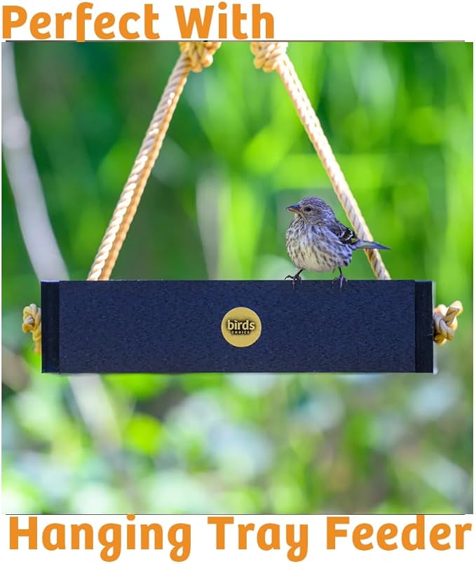 Birds Choice Trail Blazin' Spicy Bird Seed Cake | Squirrel Proof Wild Bird Food with Red Pepper | Black Oil Sunflower Seeds, Peanuts, Safflower & Pecans | High Protein Bird Feeder | 0.5 lbs (6-Pack)