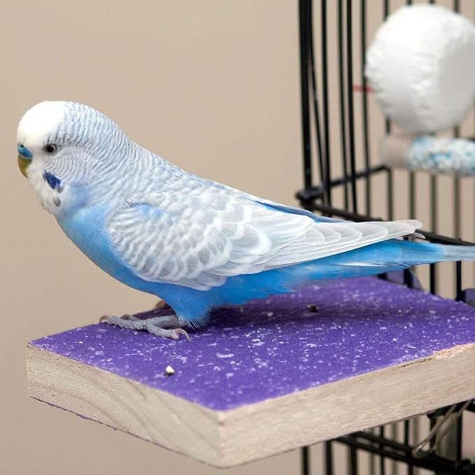 Bird Cage Accessories, Parrot Perch Stand Platform Natural Wood Grinding for Budgie Parakeet Cockatiels Conure Lovebirds, Purple
