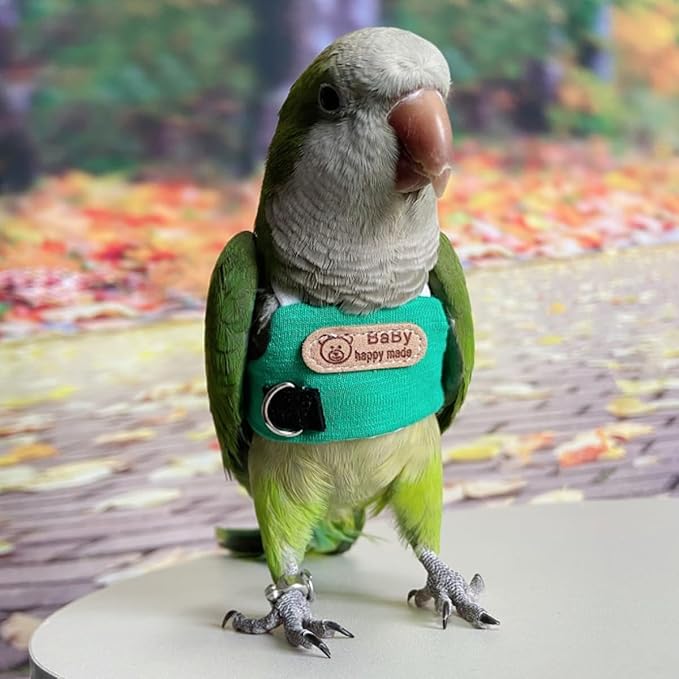 Bird Flight Harness Vest, Snap-Fastener Design Harness Vast, Parrot Flight Suit with Leash for Parakeets Budgies, Bird Flying Clothes with Rope and Handle for Outdoor Activities Training, Anti Bite