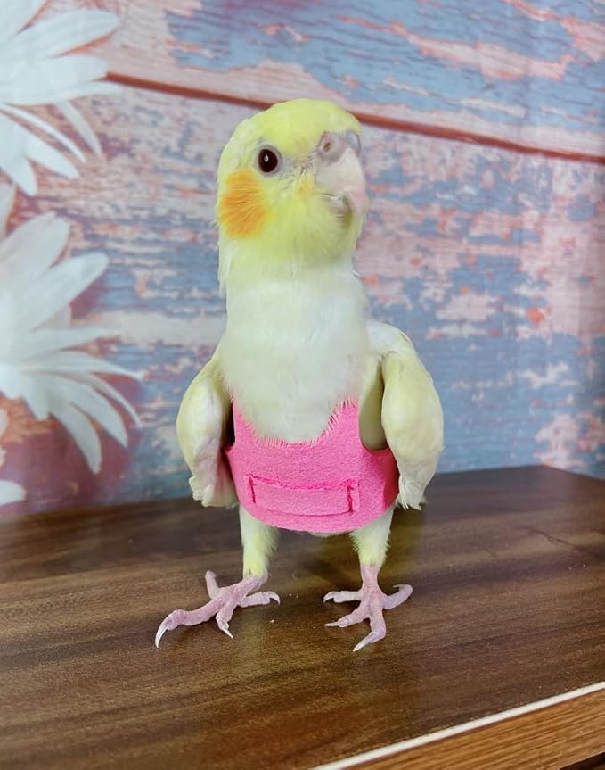 Bird Flight Harness Vest, Parrot Flight Suit with Leash for Parakeets Cockatiels Conures Budgies, Bird Flying Clothes with Rope and Handle for Outdoor Activities Training (XL,Pink)