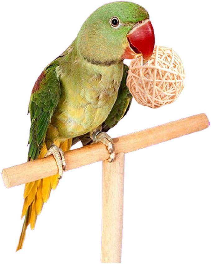 Tfwadmx 10 Pcs Willow Ball, Bird Foraging Toys, Small Animal Chew Toy Activity for Parrot Macaw Hamster Guinea Pig Rat Parakeet Cockatiels Conure Finch Budgerigar Lovebird