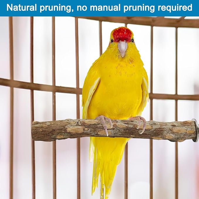 4 Pcs Natural Wood Bird Perch for Cage Parrot Stand, 2 Grape Wood Perches, A Stand Fork Standing Branch, A Paw Grinding Fork, Training Branches & Fork Toys for Parakeets, Budgies, Finches