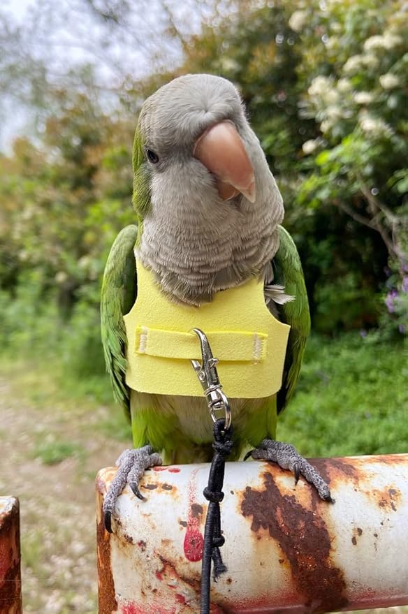 Bird Flight Harness Vest, Parrot Flight Suit with Leash for Parakeets Cockatiels Conures Budgies, Bird Flying Clothes with Rope and Handle for Outdoor Activities Training (L,Yellow)