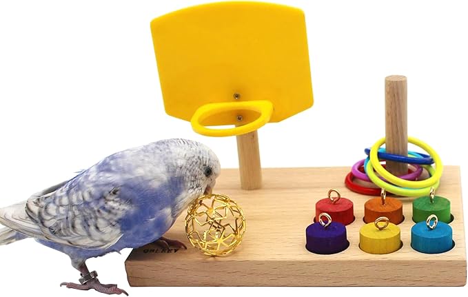 QBLEEV Bird Toys - Budgie & Parrot Training Toys, Color Ring Sets, Chew Ball & Play Gym