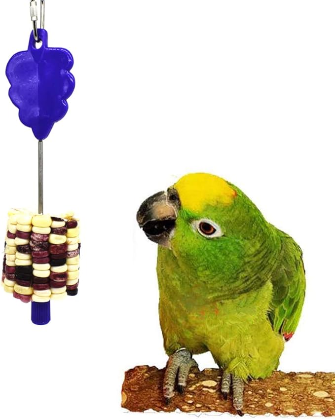 Stainless Steel Food Holder Stick Fruit Skewer Bird Parrot Treating Tool Bird Seed Feeder for Cage