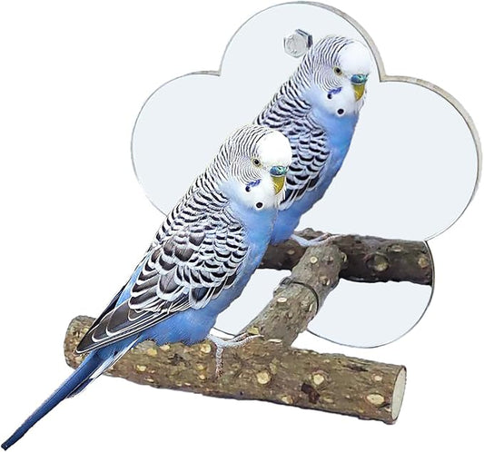 Bird Mirror with Perch Stand InteractiveToys Cage Accessories for Pet Parrot Budgies Cockatiels Conure Lovebird Finch Canaries and Other Small Birds (Flower Shape)