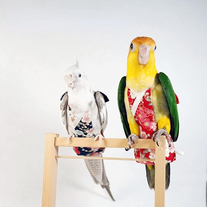 Bird Flight Suits Diapers for Monk Parakeets, Cockatiels, Parrot Clothes, Training Nappy Suit Liners (Large, Red-A)