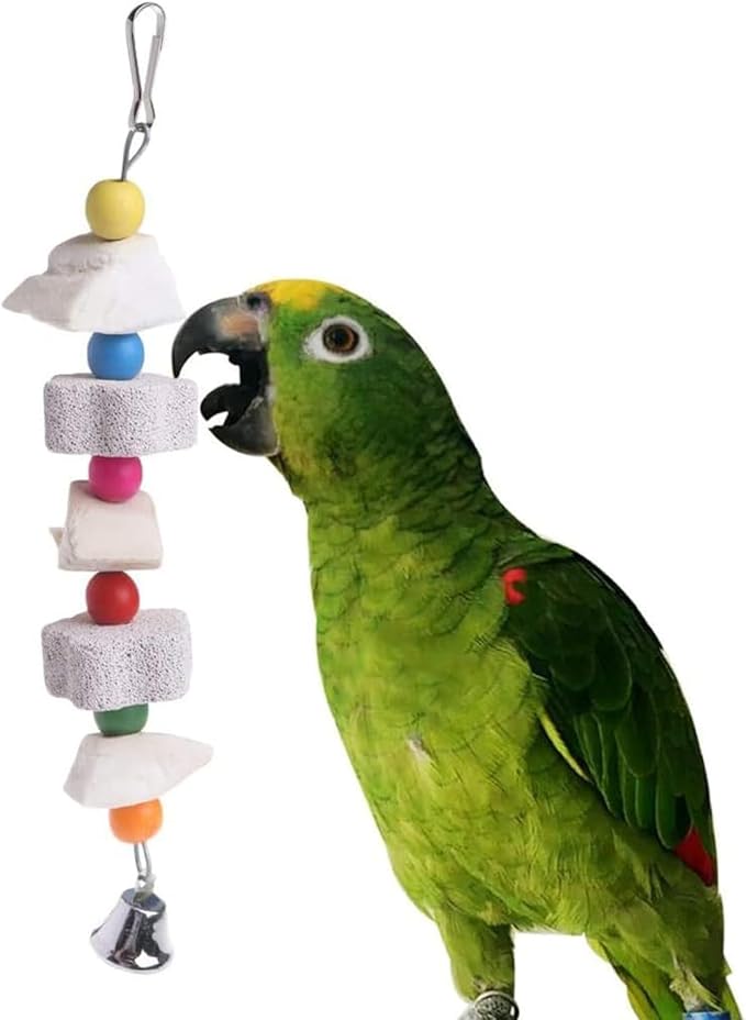 2Pcs Bird Beak Trim Cuttlebone Calcium Stone Lava Block Chew Toy Grinding Teeth Natural Minerals with Bell for Parakeet Conure Lovebird Cockatiel Finch Canary Hamster Chinchilla Rabbit