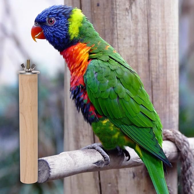 Parrots Stand Rod Cockatiels Perch Cage Wood Playing Grinding Standing Wooden Parakeets Parrots Perching Bird Platform Accessories