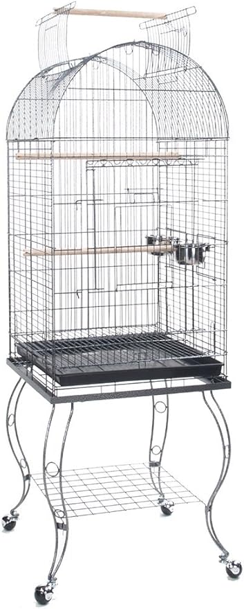 Bird Parrot Cage Cockatiel Amazon African Grey Caique Conure, 20 X 20 X 65"h