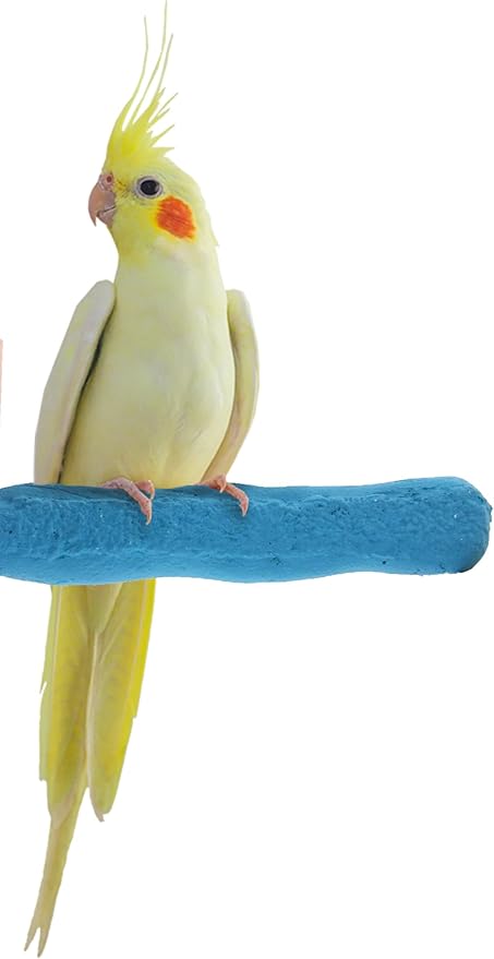 Sweet Feet and Beak Comfort Grip Safety Perch for Bird Cages - Pedicure Perch for Birds to Keep Nails and Beaks in Top Condition - Safe Easy to Install Bird Cage Accessories X-Small 4.5" - Blue