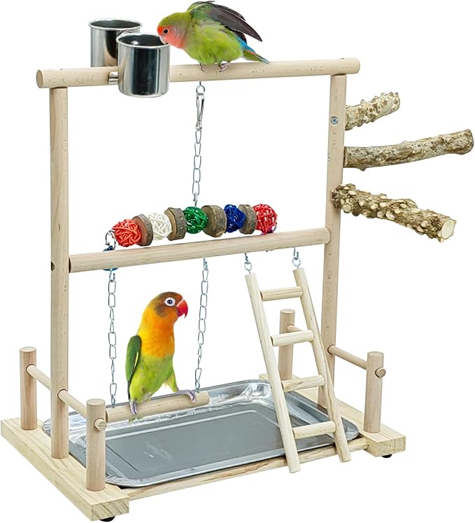 kathson Bird Play Stand Parrot Perch Stand Natural Wood Bird Playground Playstand for Cockatiel Conures Parakeet Parrots Budgie Lovebird Finch Small Birds