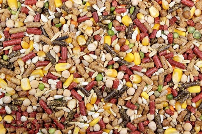Chicken Feed, Whole Ingredient Chicken Treat, Wied Variety of Grains Poultry Feed (20 Pound (Pack of 1), High-Octain (High Protein))