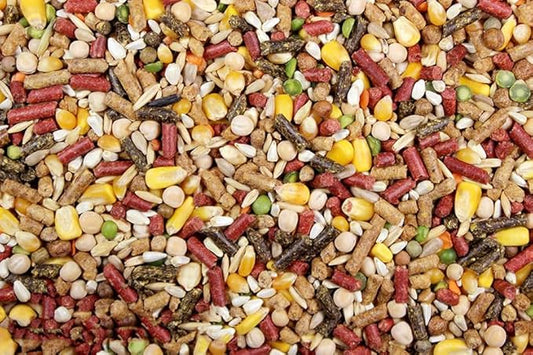 Chicken Feed, Whole Ingredient Chicken Treat, Wied Variety of Grains Poultry Feed (20 Pound (Pack of 1), High-Octain (High Protein))