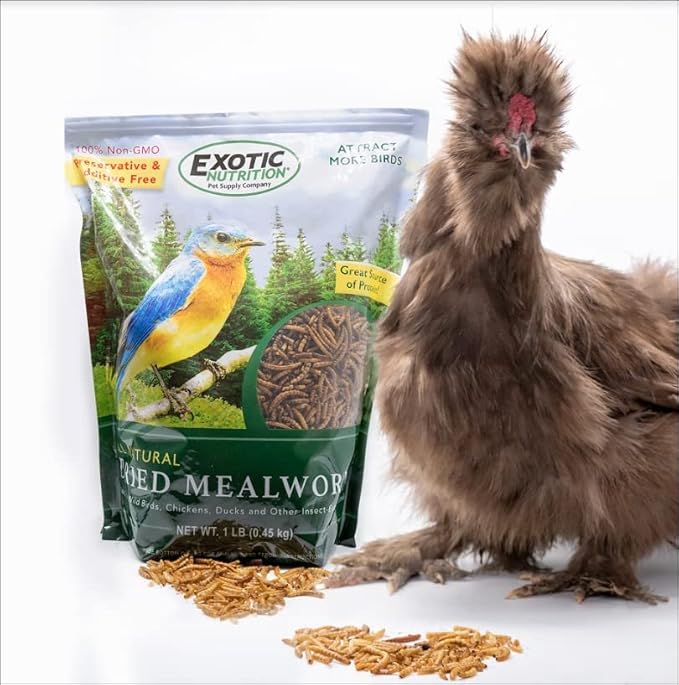 Exotic Nutrition 40 LB Bulk Dried Black Soldier Fly Larvae - High-Calcium Insect Treat - Chickens, Wild Birds, Bluebirds
