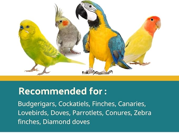 Cédé Nuts and Fruit Coarse 400g - 2 Pack Egg Food for Canaries, Budgies, Parakeets, and Other Exotic Birds. Food Supplement for Parrots. Promotes Health With Prebiotics and Essential Proteins