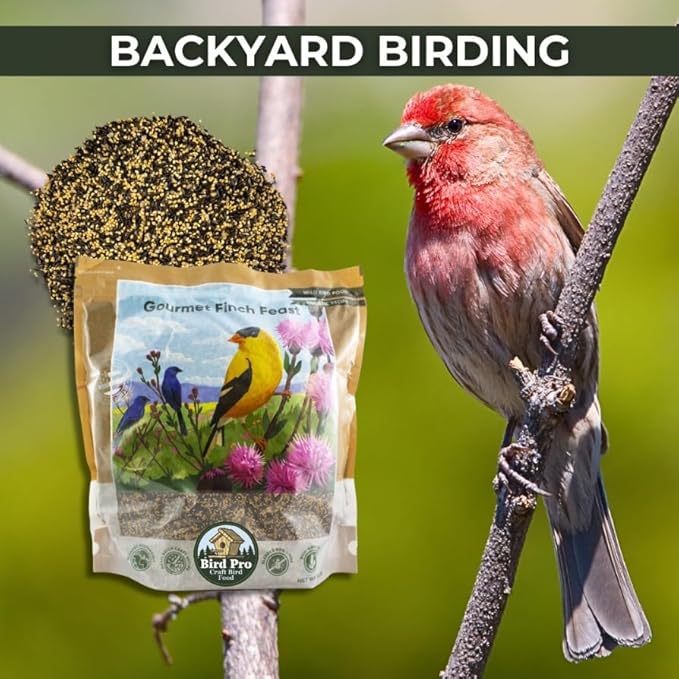 Bird Pro Holistic Bird Seed - Premium Seed for Backyard Feeding (36 Pounds, Gourmet Finch Feast)