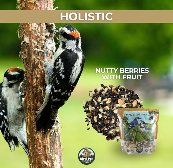 Bird Pro Holistic Bird Seed - Premium Seed for Backyard Feeding (36 Pounds, Nutty Berries with Fruit)