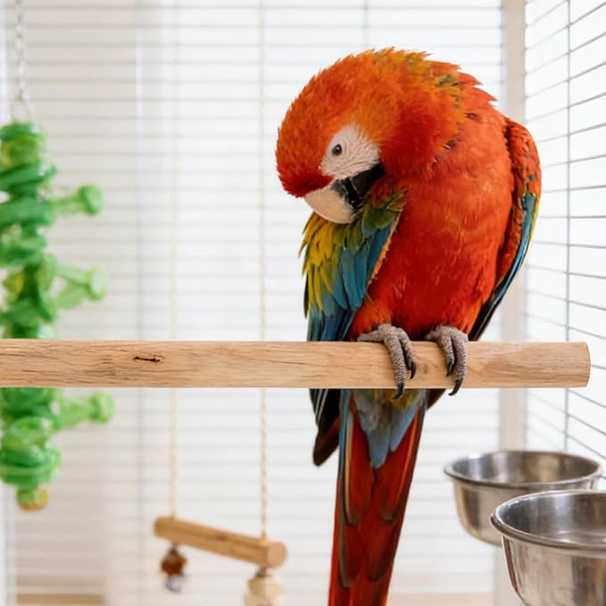 YARNOW 5pcs Natural Wood Bird Perches for Parrots Height Stand Toy for Parakeets Cockatiels and Lovebirds Easy to Install Exercise Platforms