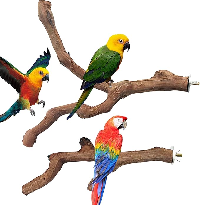 4 PCS Natural Wood Bird Perch Stand, Bird Parrot Perch Stand Set, Wooden Parrot Perch Stand Perch Platform Cage Accessories for Parrotlets Cockatiels Budgies Parakeets